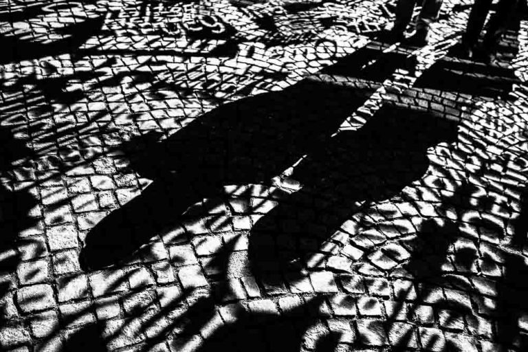 SHADOWS AT LUMINALE FESTIVAL FRANKFURT